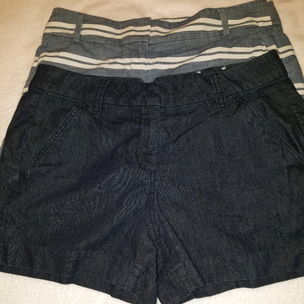 The Loft Riviera Shorts Sz 6 Bundle/Lot
